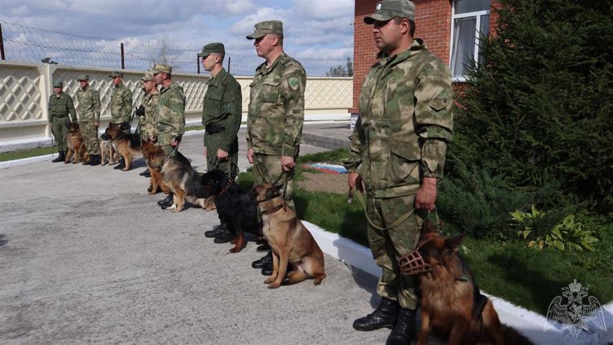 В Красноярском крае прошли сборы военнослужащих-кинологов Росгвардии
