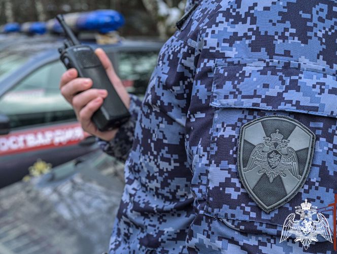 Патруль Росгвардии пресек опасное вождение водителя с признаками опьянения в Красноярском крае 