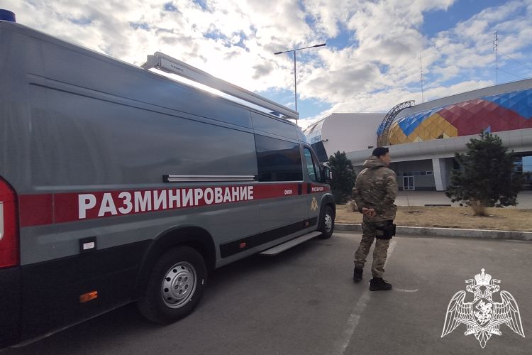 Безопасность проведения дельфийских игр  в Красноярске обеспечат сотрудники Росгвардии 