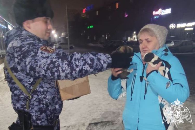 Красноярские росгвардейцы спасли замерзающих щенков, и в этот же день нашли им новый дом