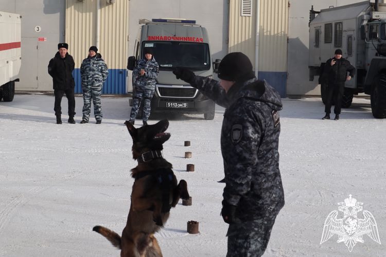 В преддверии Дня защиты Отечества на территории подразделения ОМОН прошел День открытых дверей для школьников