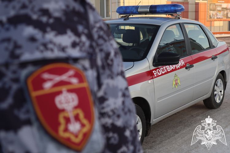 Сотрудниками Росгвардии задержана красноярка, подозреваемая в краже женской сумки