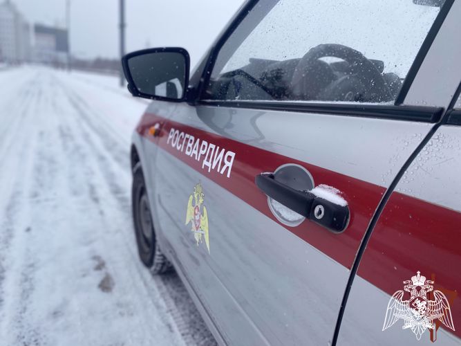 Жителям Красноярска росгвардейцы помогли найти потерявшего ребенка