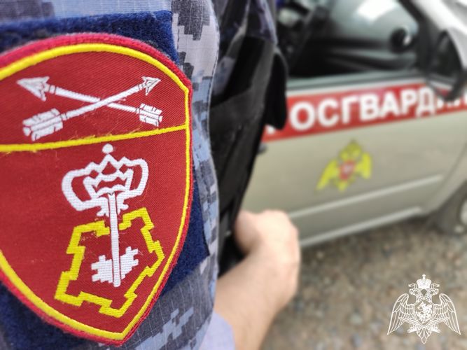 В Красноярске сотрудниками Росгвардии задержаны двое местных подростков, подозреваемых в краже кошелька из автомобиля