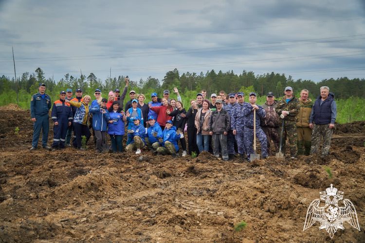 В рамках акции "Сад памяти" в Красноярском крае росгвардейцы высадили деревья