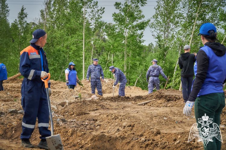 В рамках акции "Сад памяти" в Красноярском крае росгвардейцы высадили деревья