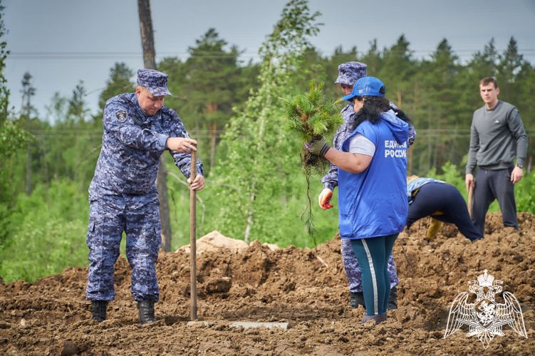 В рамках акции "Сад памяти" в Красноярском крае росгвардейцы высадили деревья