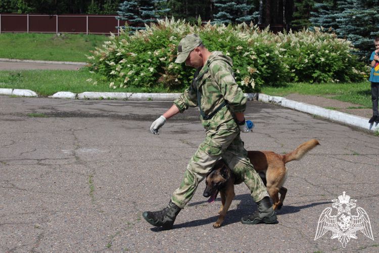 Зеленогорские военнослужащие Росгвардии познакомили ребят оздоровительного лагеря с кинологической службой