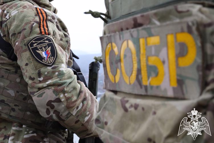 Спецназ Росгвардии задержал в Красноярском крае планировавших диверсию мужчин