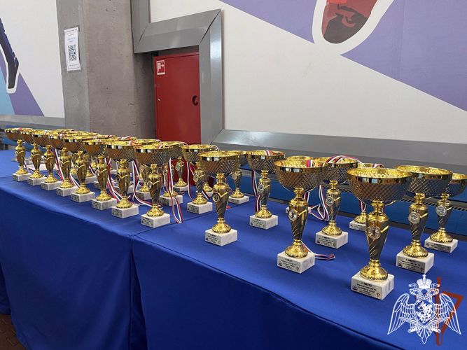 Красноярские росгвардейцы завоевали "серебро" на Чемпионате Сибирского округа Росгвардии по самбо