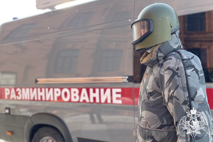 В Красноярске росгвардейцы в очередной раз обезвредили  боеприпасы времен Великой Отечественной войны