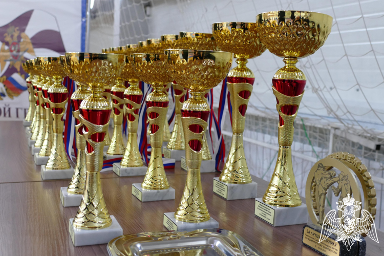 Красноярские росгвардейцы стали призёрами чемпионата Сибирского округа по комплексным единоборствам