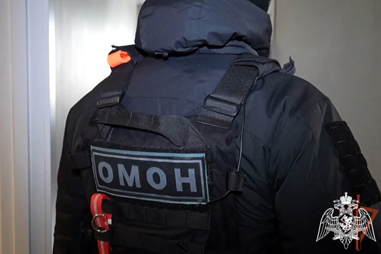 При участии Росгвардии в Красноярске задержан мужчина за публикации материалов с экстремисткой символикой