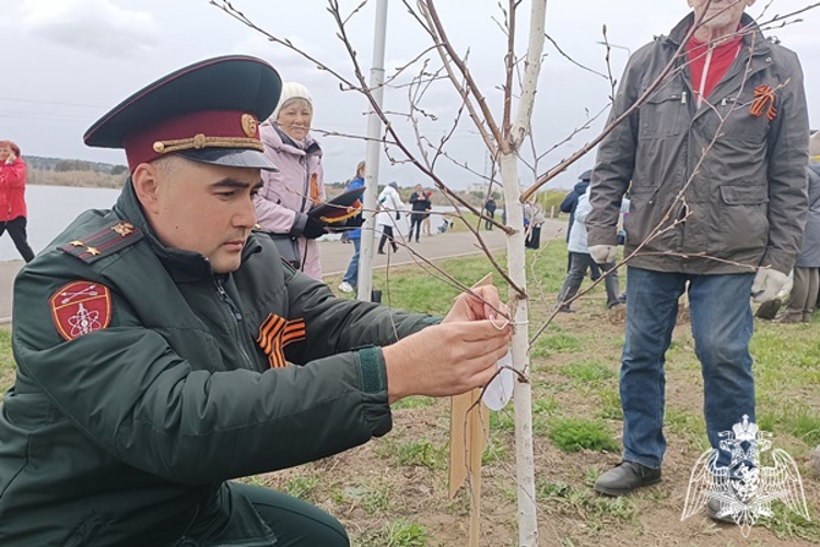 Зеленогорские военнослужащие Росгвардии стали участниками акции "Сад памяти"