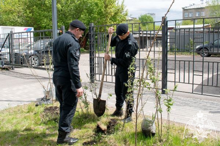 Красноярские сотрудники спецподразделения Росгвардии присоединились к Международной акции «Сад Памяти»
