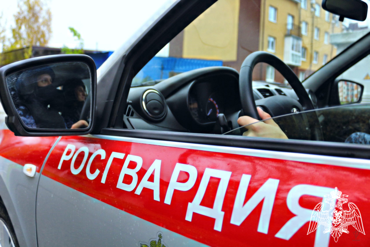 Подозреваемую в совершении противоправного деяния в Красноярском крае задержали росгвардейцы