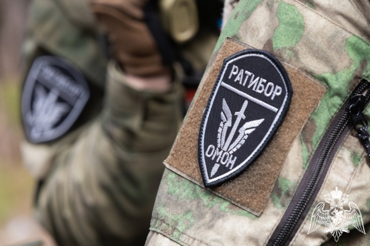 При участии Росгвардии в Красноярске задержан подозреваемый в публикации материалов с экстремистской символикой