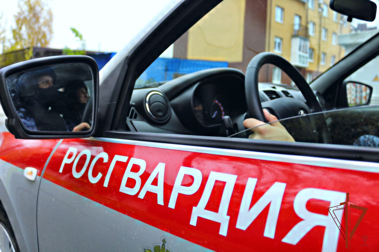 В Красноярске сотрудниками Росгвардии задержан подозреваемый в краже бытовой техники из магазина