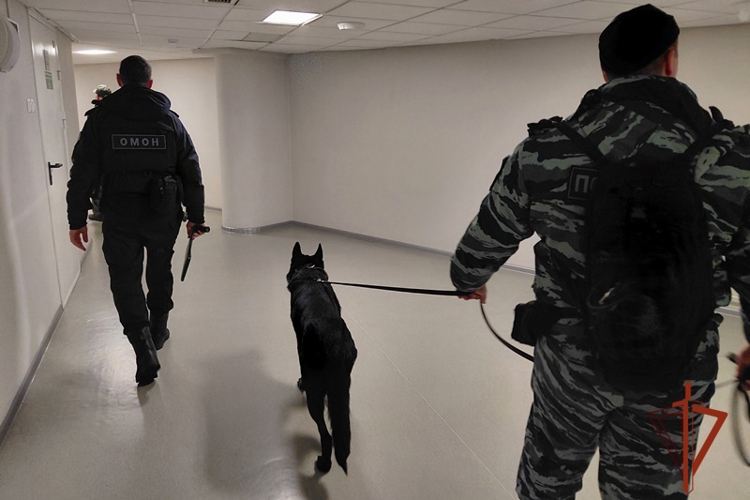 Росгвардия в Красноярске обеспечила безопасность международного турнира по борьбе