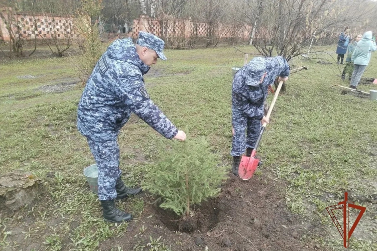 Ачинские росгвардейцы присоединились к акции «Сад памяти»
