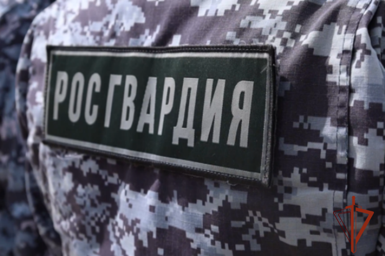 Росгвардейцы задержали красноярца, повредившего окна жилого дома