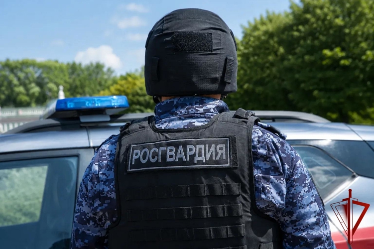 Росгвардейцами задержан красноярец причинивший ущерб свыше 900 тысяч рублей жилому дому (Видео)