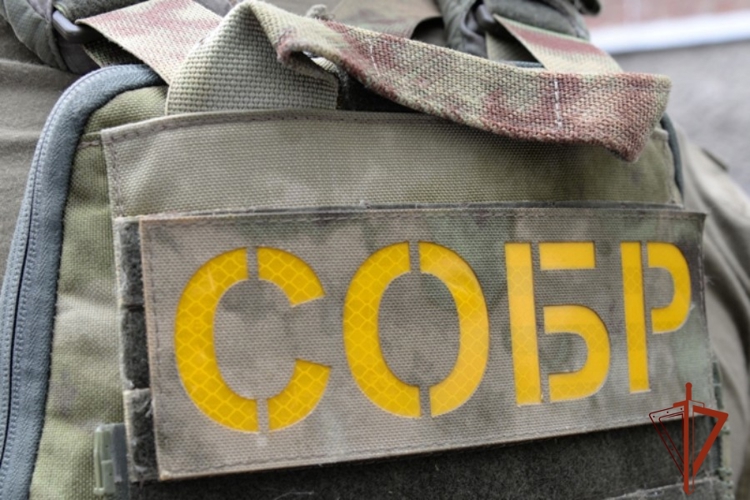 Сотрудники СОБР «Зенит» Управления Росгвардии по Красноярскому краю оказали содействие коллегам из МВД и СК в задержании подозреваемого в совершении преступления против половой неприкосновенности несовершеннолетней.