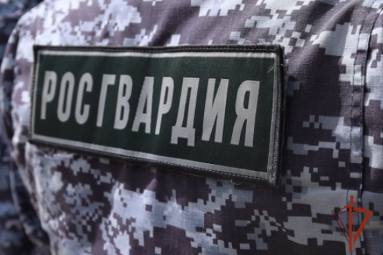 В Красноярске росгвардейцами задержаны подозреваемые в краже силового кабеля