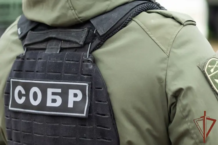 При силовой поддержке спецназа Росгвардии в Красноярском крае задержаны подозреваемые в мошенничестве в сфере страхования (видео)