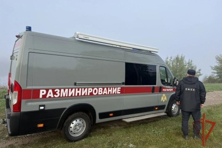 В Красноярском крае специалисты ОМОН Росгвардии обезвредили минометные мины