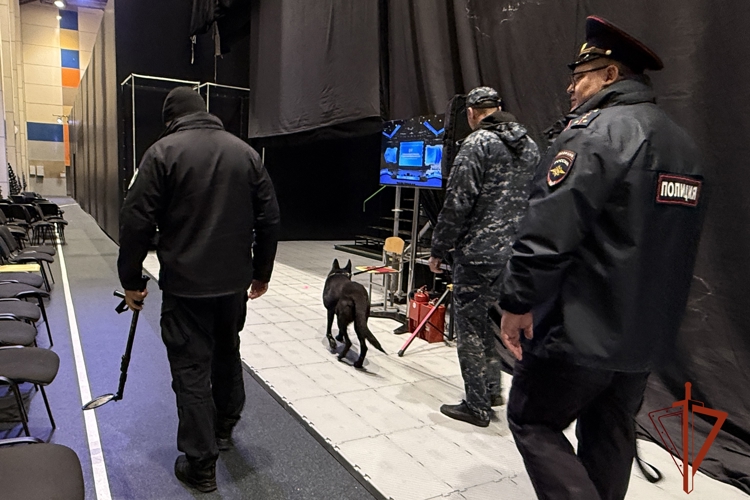 В Красноярске росгвардейцы обеспечили правопорядок во время финала VI Международной олимпиады по финансовой безопасности  